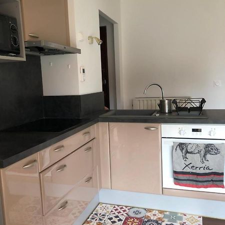 Appartement Cosy, En Rez De Chaussee, En Plein Centre De Cambo Les Bains Kültér fotó