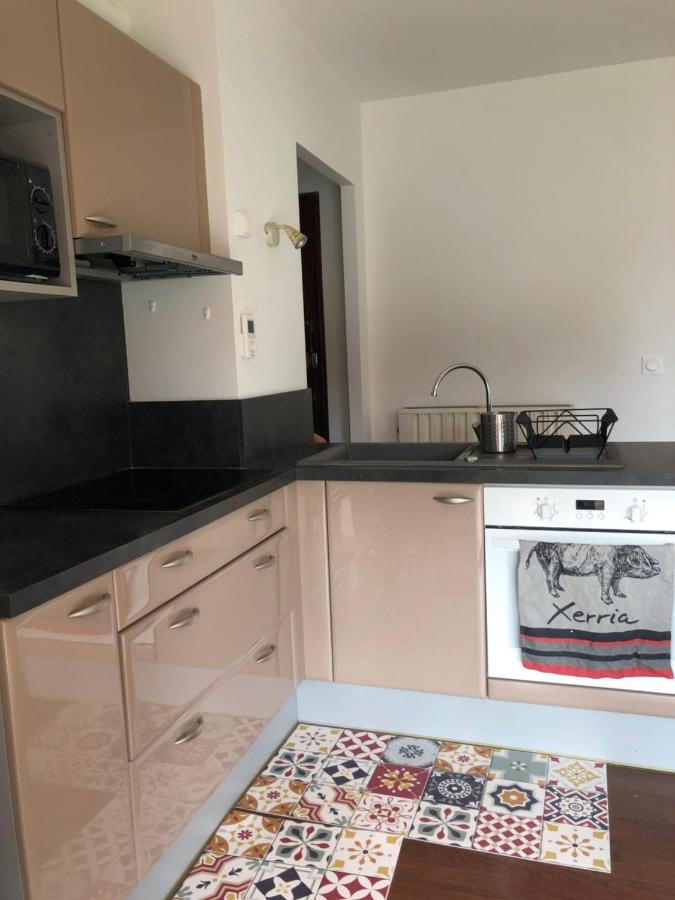 Appartement Cosy, En Rez De Chaussee, En Plein Centre De Cambo Les Bains Kültér fotó