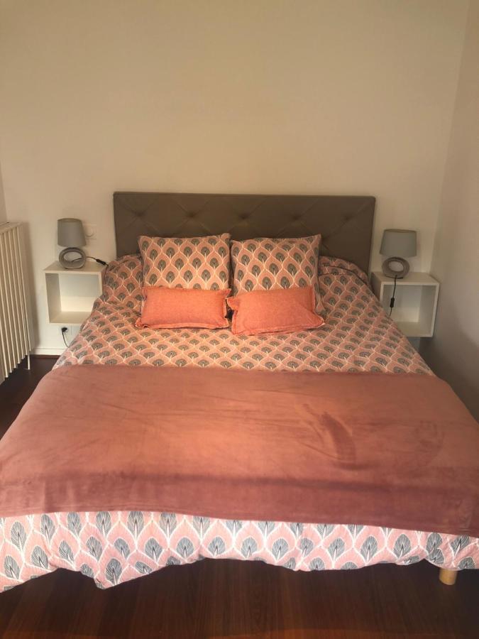 Appartement Cosy, En Rez De Chaussee, En Plein Centre De Cambo Les Bains Kültér fotó